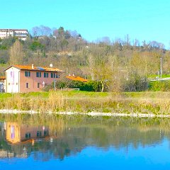 P1190340   Lungo il Mincio.